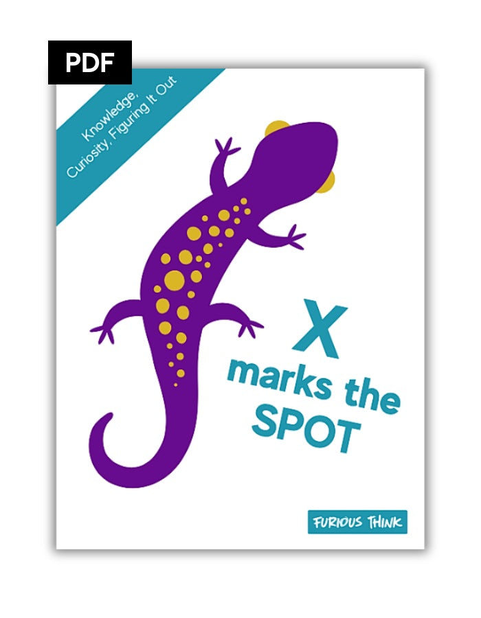 This image features the cover of our ebook X Marks the Spot. It features a purple lizard with yellow spots and the background is white