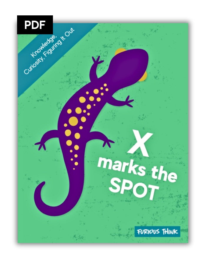 This image features the cover of our ebook X Marks the Spot. It features a purple lizard with yellow spots and the background is green