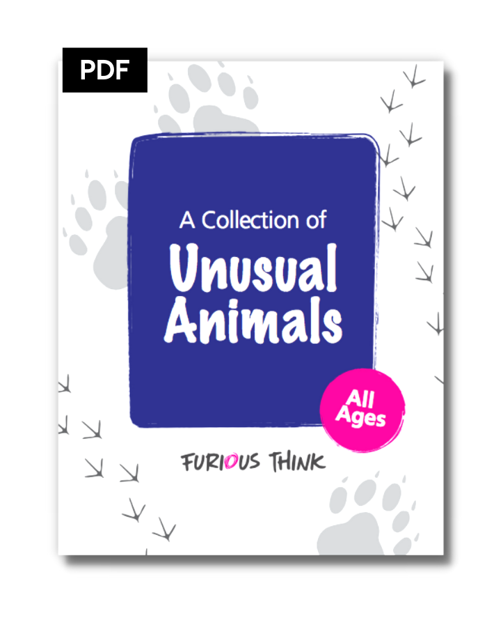 This image features the cover of A Collection of Unusual Animals, with a pattern of animal tracks in the background behind the title